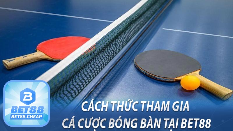 Cách thức tham gia cá cược bóng bàn tại BET88