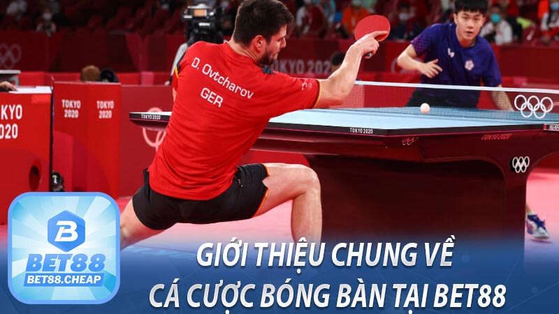 Giới thiệu chung về cá cược bóng bàn tại BET88